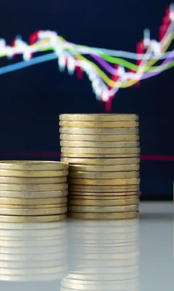 Financial Security